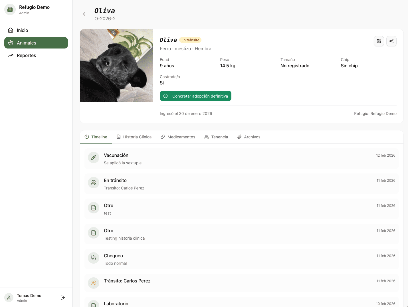 Pet detail timeline tab